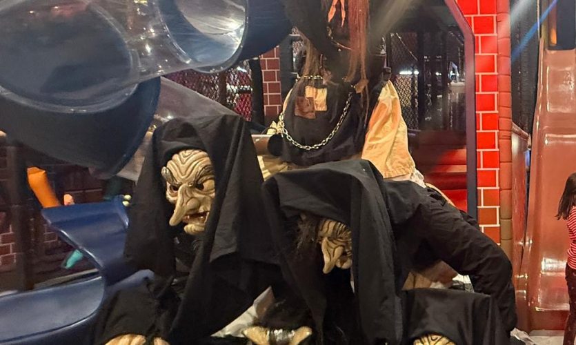 WhatsApp Image 2026-02-03 at 11.41.08